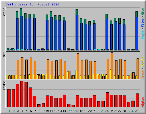 Daily usage for August 2020