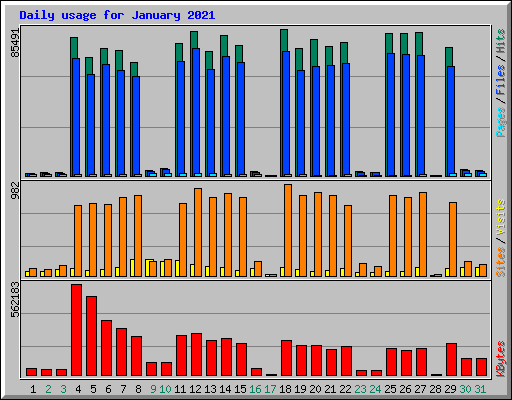 Daily usage for January 2021