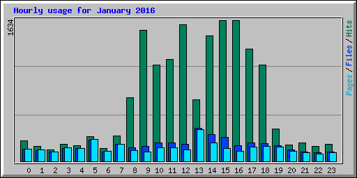 Hourly usage for January 2016