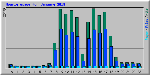 Hourly usage for January 2019