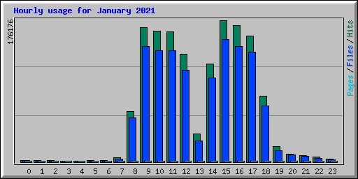 Hourly usage for January 2021