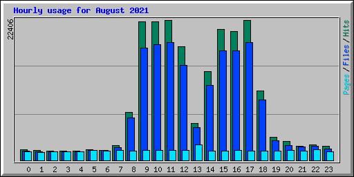Hourly usage for August 2021