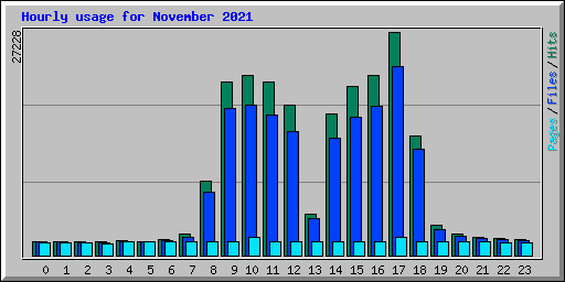 Hourly usage for November 2021