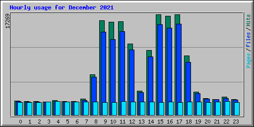 Hourly usage for December 2021