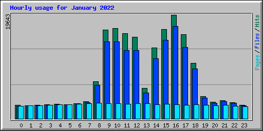 Hourly usage for January 2022